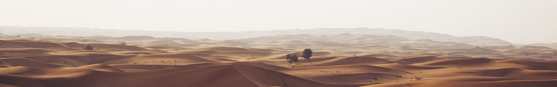 ڻ豸Ƽ޹˾